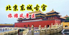 嗯，嗯，嗯，快操死我视频中国北京-东城古宫旅游风景区